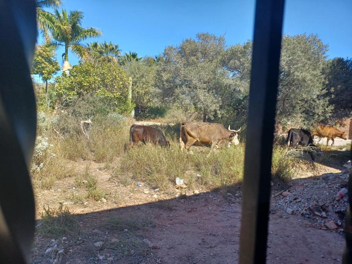 Hacienda Gallardos 104-3 San Carlos Nuevo Guaymas Extérieur photo